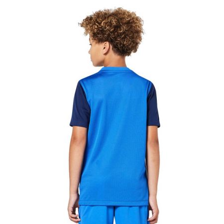 ΠΑΙΔΙΚΟ T- SHIRT NIKE Trophy V JR 526087 DR0942-463 εικόνα 3