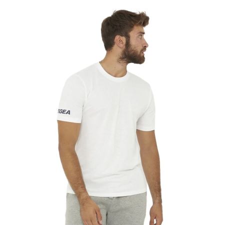 Tricou Barbati LEGEA T-Shirt Aria 0003 531065 TS010-O